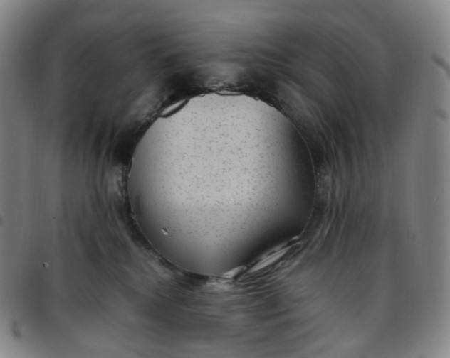 X0000097500280200803071809