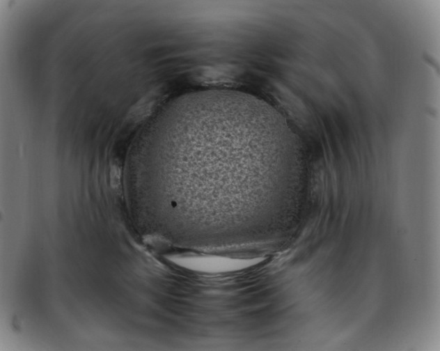 X0000097500281200803071809