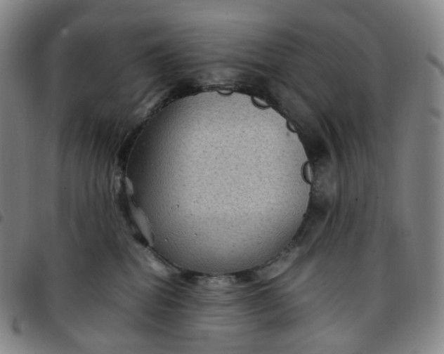 X0000097500282200803071809