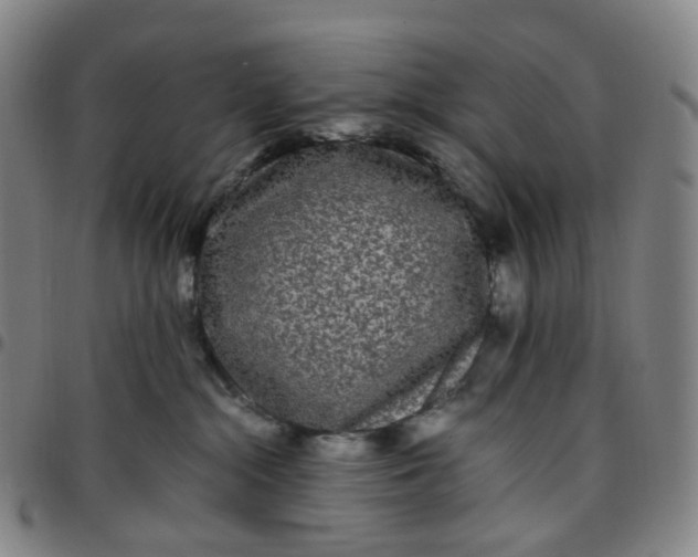 X0000097500284200803071809