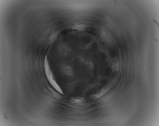 X0000097500285200803071809