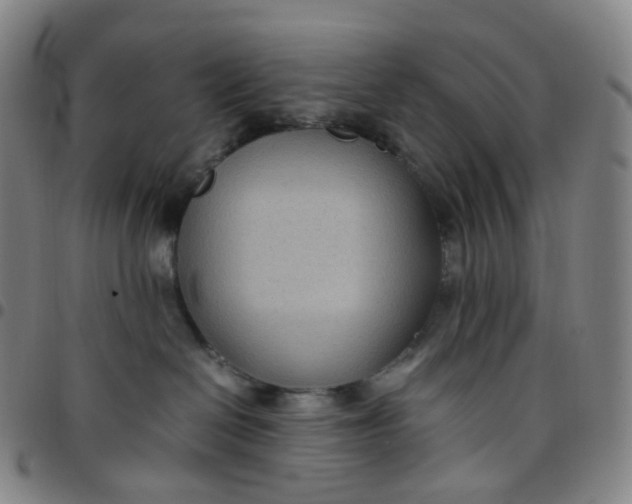 X0000097500286200803071809