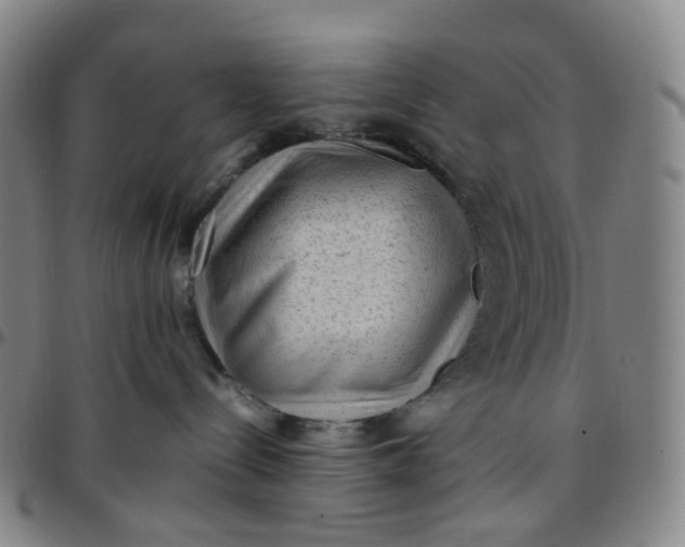 X0000097500288200803071809