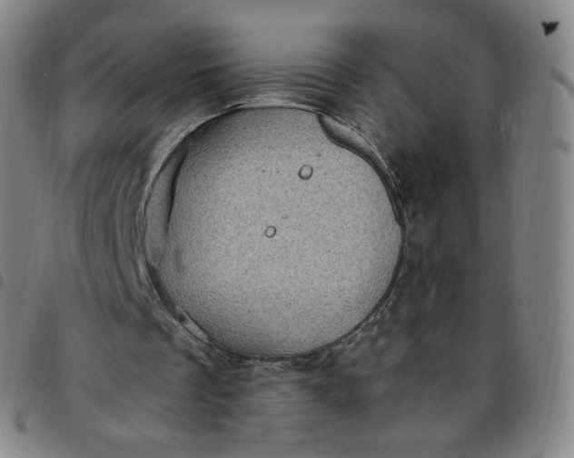 X0000097500289200803071808