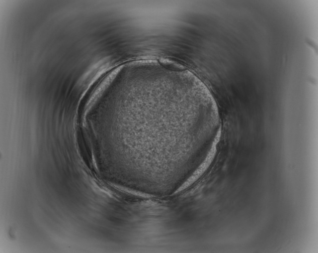 X0000097500290200803071808