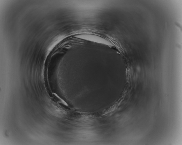 X0000097500292200803071808