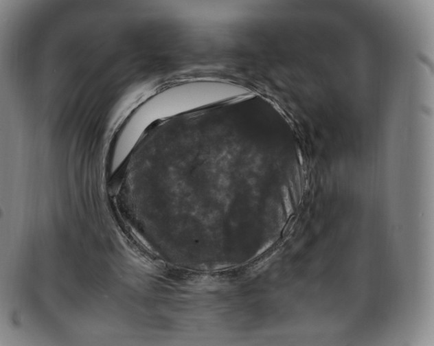 X0000097500293200803071808