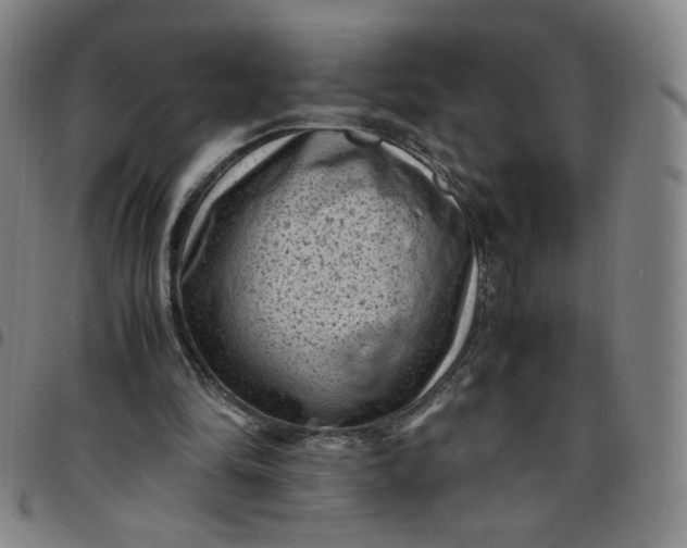 X0000097500294200803071808