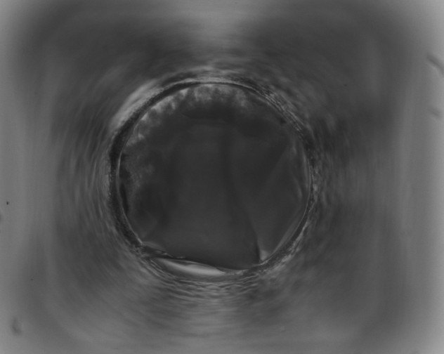 X0000097500295200803071808