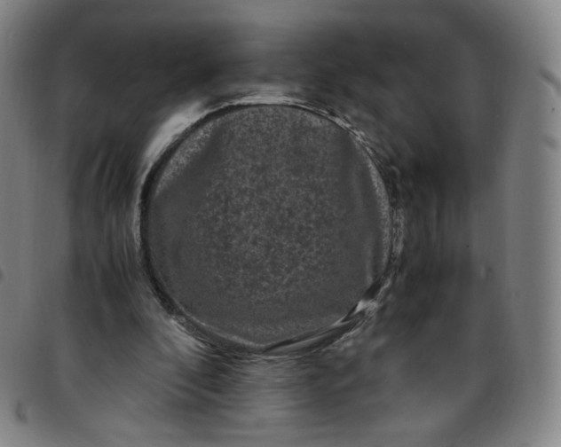 X0000097500296200803071808