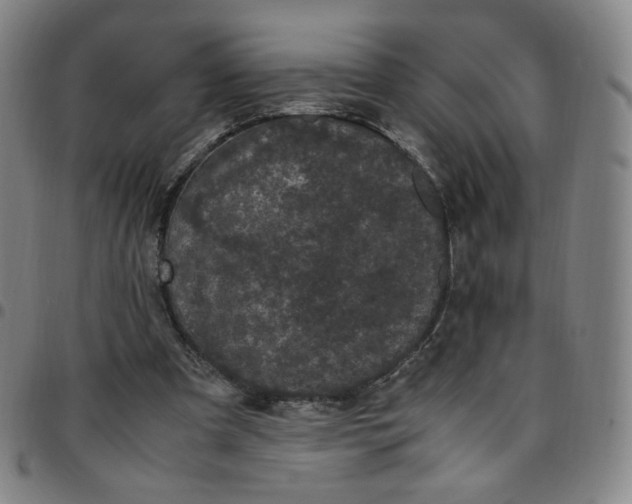 X0000097500297200803071808