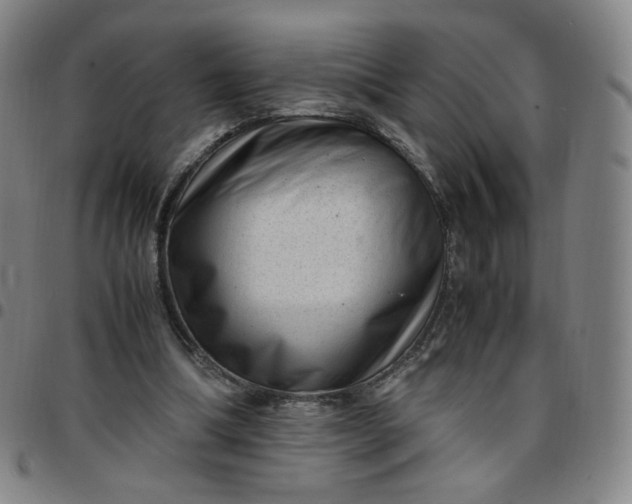 X0000097500298200803071808