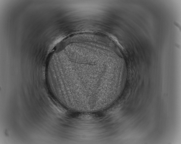 X0000097500299200803071808