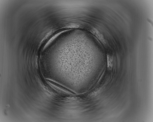 X0000097500300200803071808