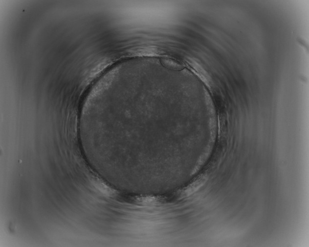 X0000097500301200803071808