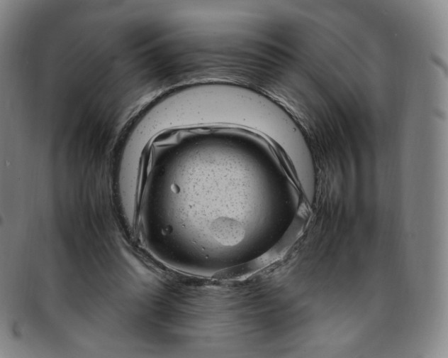 X0000097500302200803071808