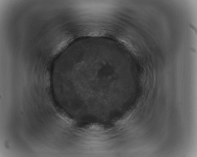 X0000097500303200803071808