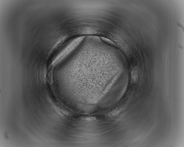 X0000097500304200803071808