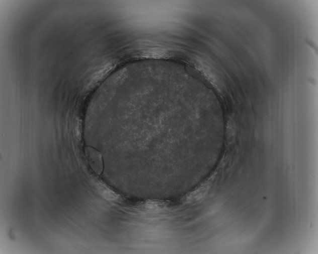 X0000097500305200803071808