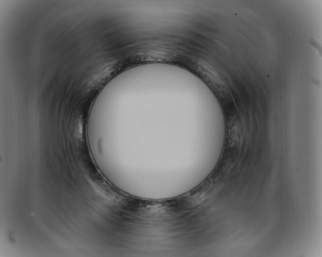 X0000097500310200803071808