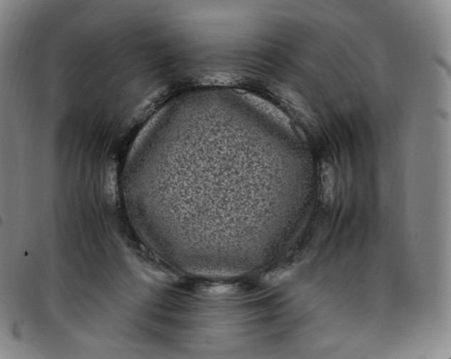 X0000097500312200803071808