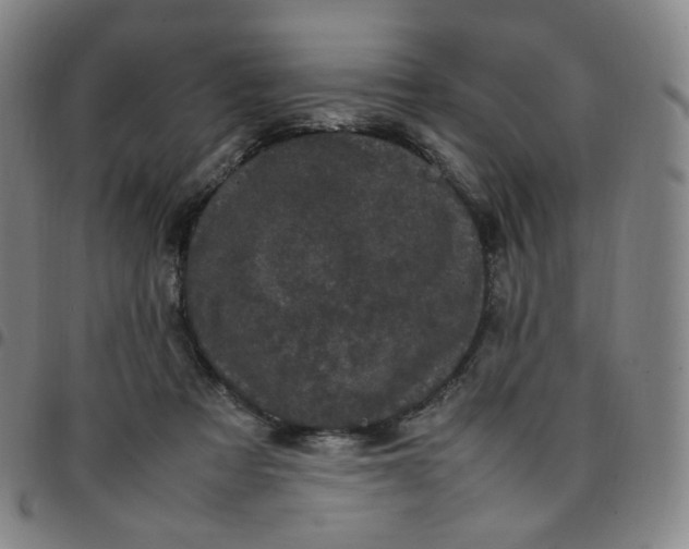 X0000097500313200803071808