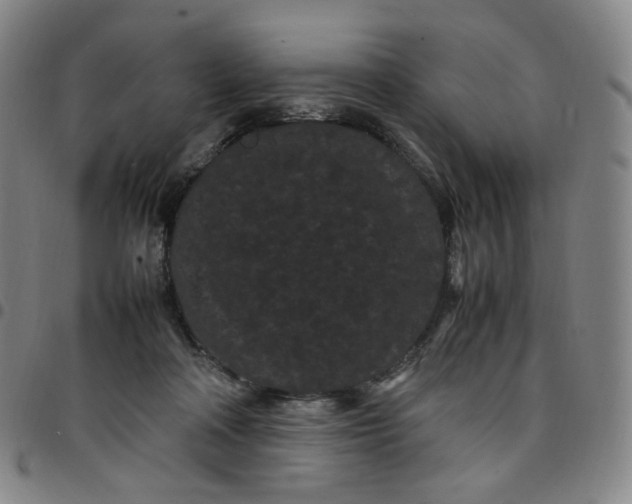 X0000097500314200803071808