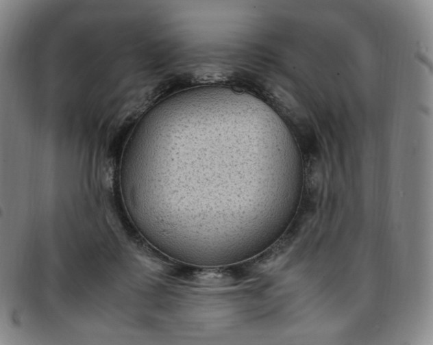 X0000097500315200803071808