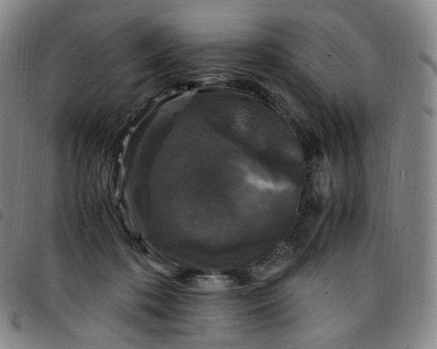 X0000097500316200803071808