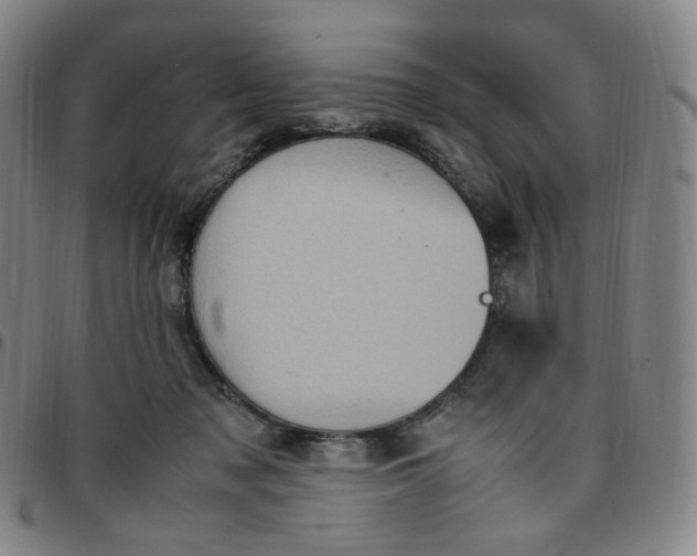 X0000097500317200803071808