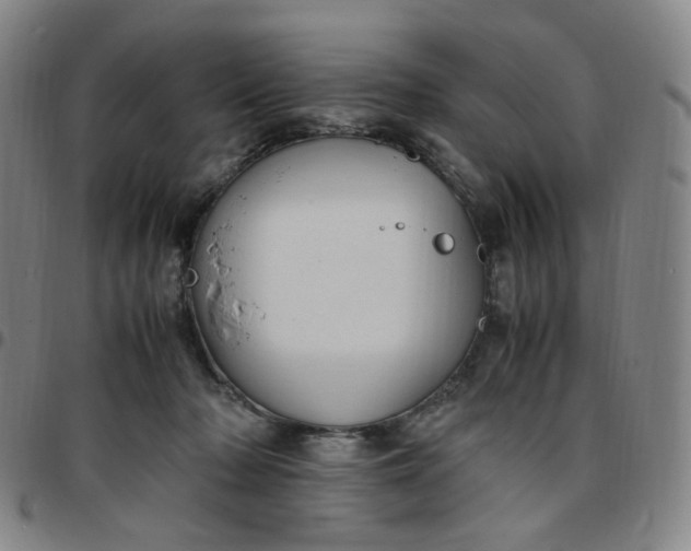 X0000097500318200803071808