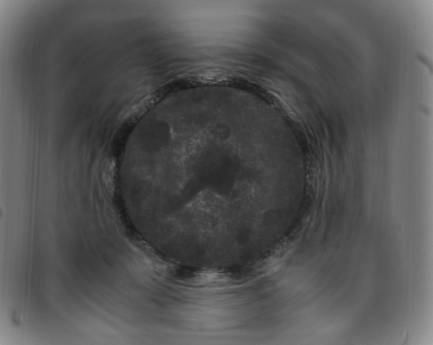 X0000097500319200803071808