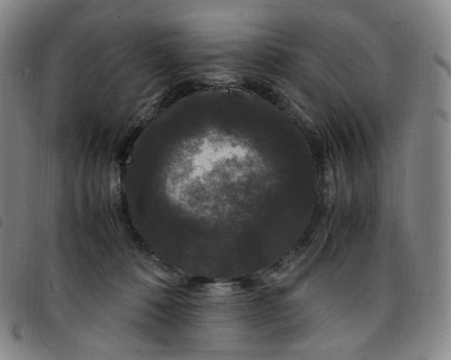 X0000097500320200803071808