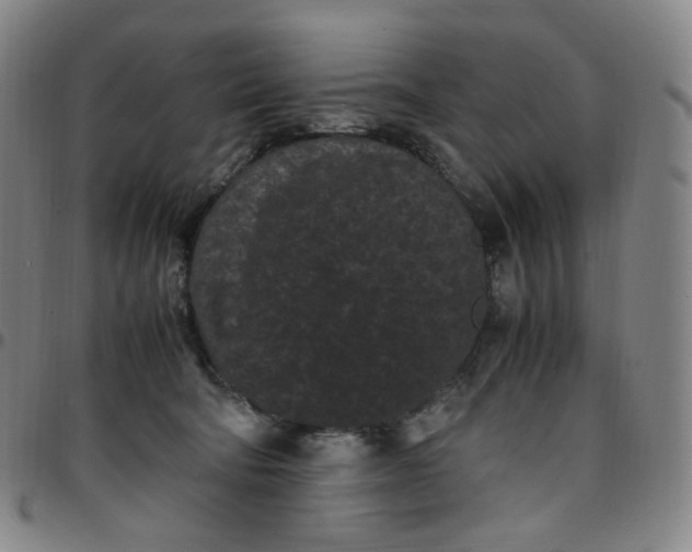 X0000097500322200803071808