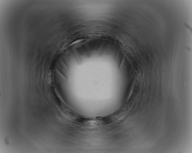 X0000097500323200803071808