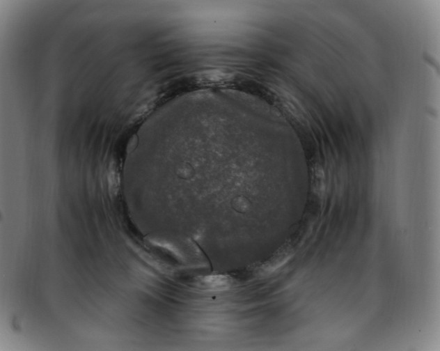 X0000097500324200803071808