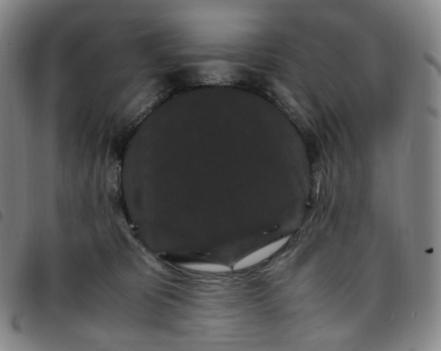 X0000097500325200803071808