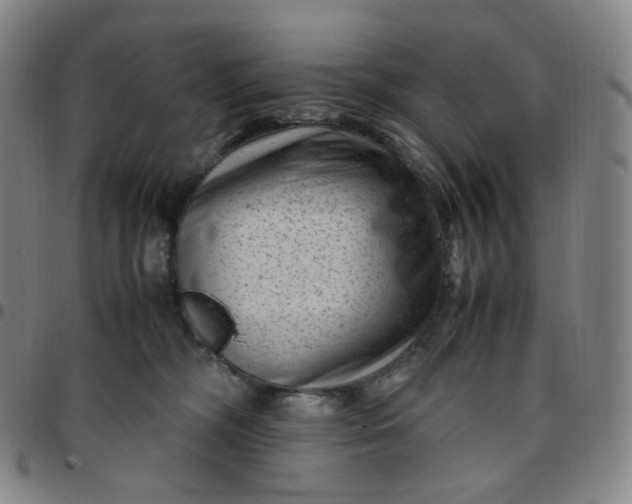 X0000097500326200803071808