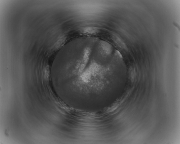 X0000097500328200803071808