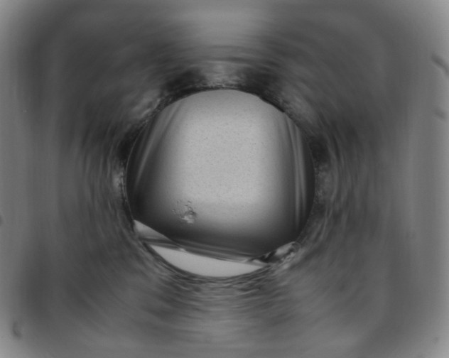 X0000097500329200803071808