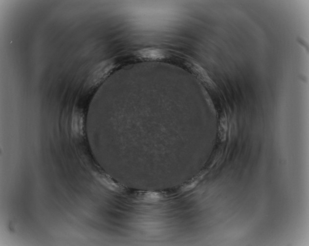 X0000097500330200803071808