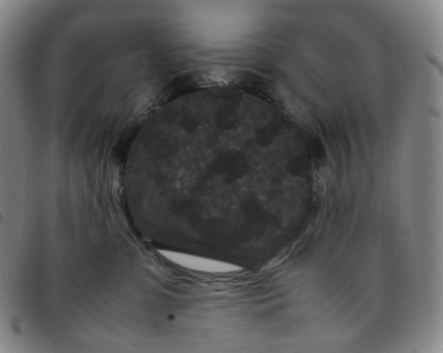 X0000097500331200803071808