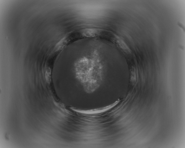 X0000097500332200803071808