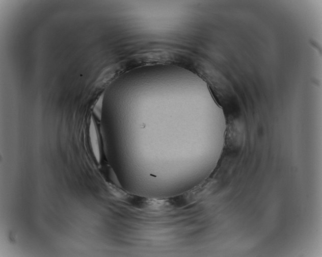 X0000097500333200803071808