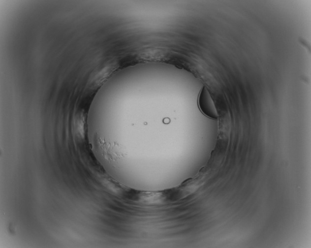 X0000097500334200803071808