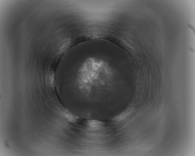 X0000097500336200803071808