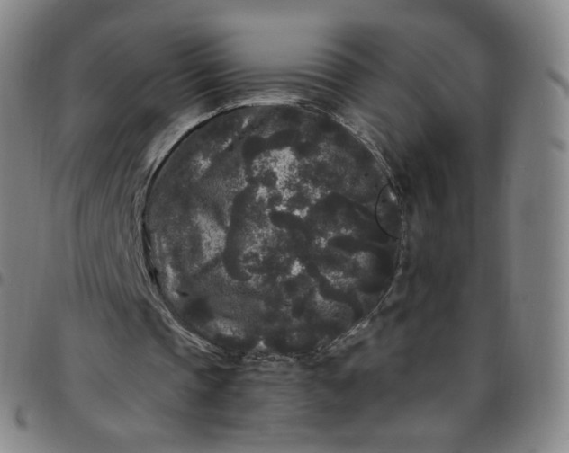 X0000097500337200803071807