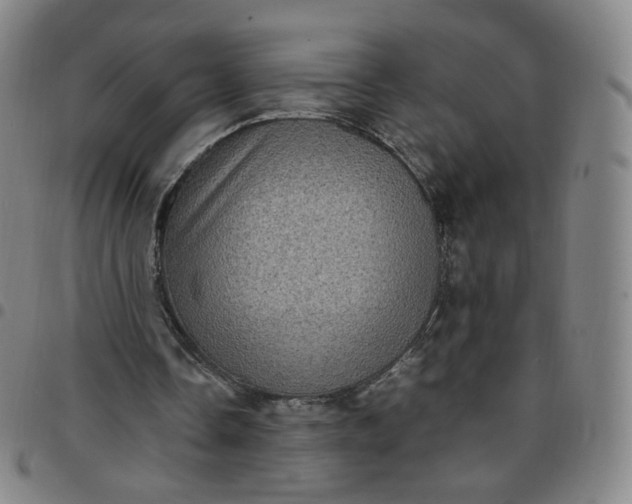 X0000097500338200803071807
