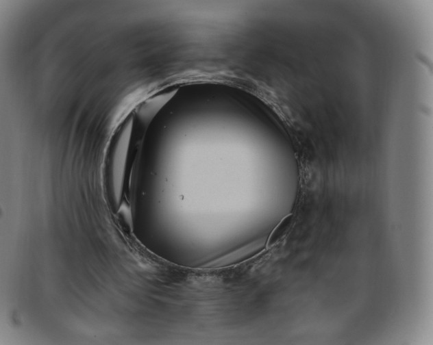 X0000097500340200803071807