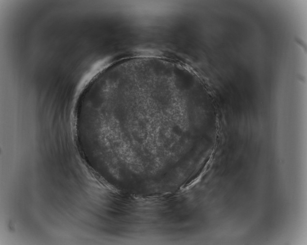 X0000097500343200803071807